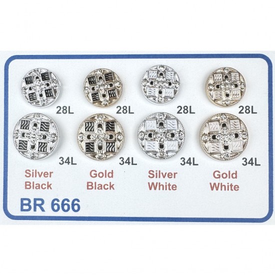 264 BR 666