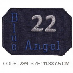 AN-CL 289