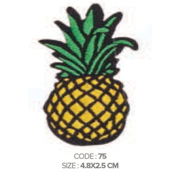 AN-CN 075