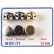 MSS 01