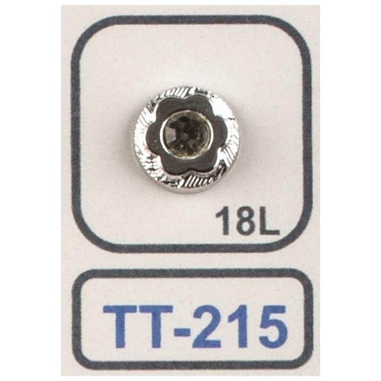 004 TT 215
