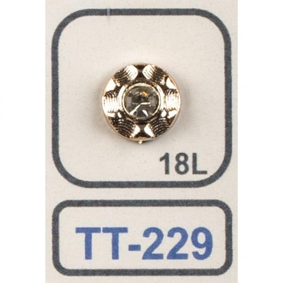 013 TT 228-229