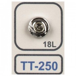 024 TT 250 024 TT 250