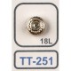 025 TT 251